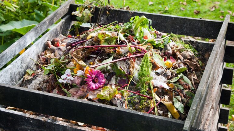 10 Composting Mistakes That Could Ruin Your Soil