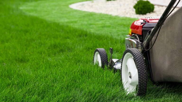 9 Lawn Care Hacks That Will Save You Time and Money