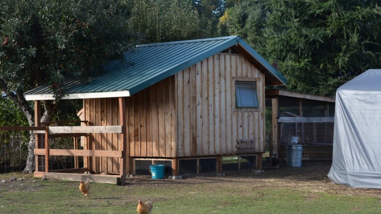 The 10 Dangerous Mistakes That Could Ruin Your Chicken Coop