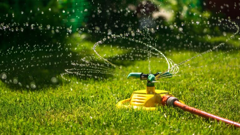 12 Easy Projects That Will Make Your Lawn Look Healthier