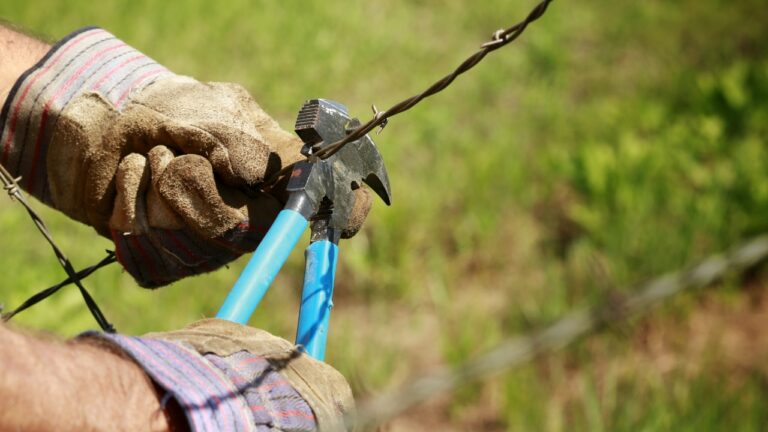 10 Tools Every Homesteader Should Own (But Everyone Forgets)