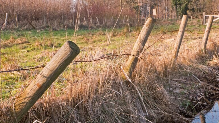 8 Signs Your Land Setup Isn’t Working Like It Should