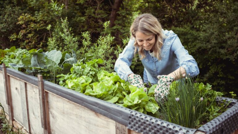 10 DIY Projects That Will Make Your Homestead More Self-Sufficient