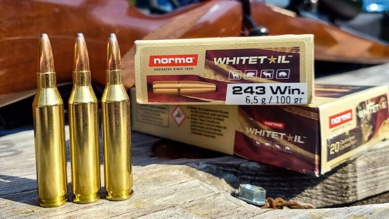 Calibers That Handle Both Pests and Deer So You Don’t Need Two Rifles