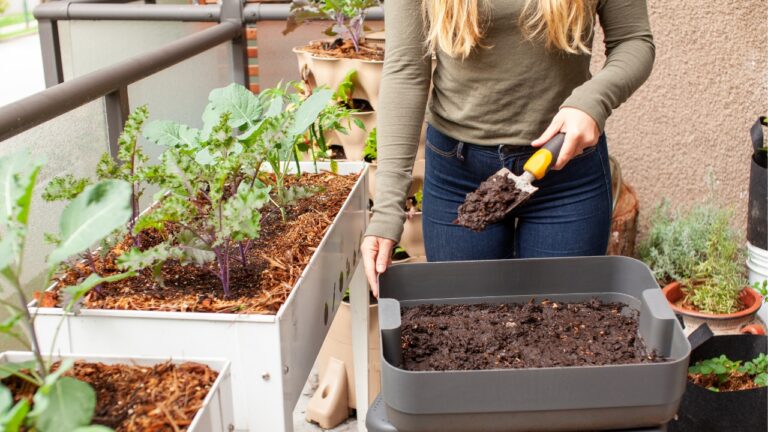 No Backyard? No Problem. Here’s How to Homestead in an Apartment