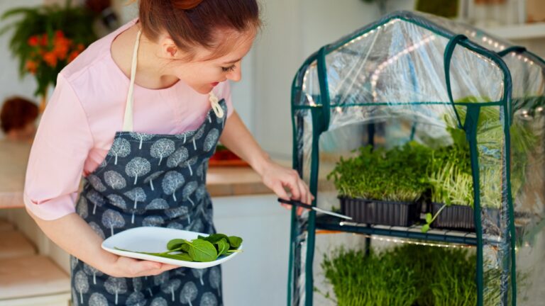 How to Homestead Without Land: 10 Things You Can Do Indoors