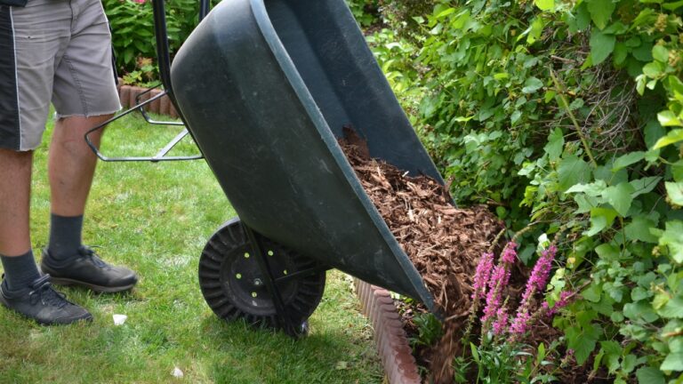 12 Front Yard Ideas That Work for Any Budget