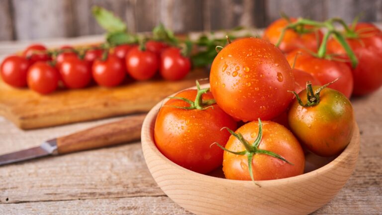 How to Grow Giant Tomatoes