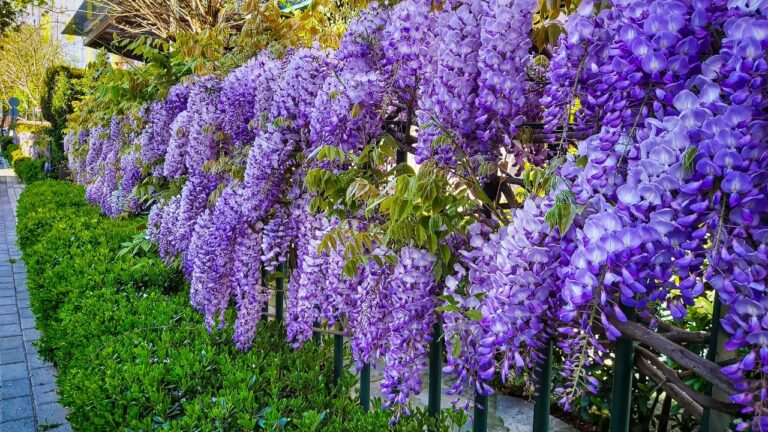 10 Plants That Make Landscaping Harder Than It Has to Be