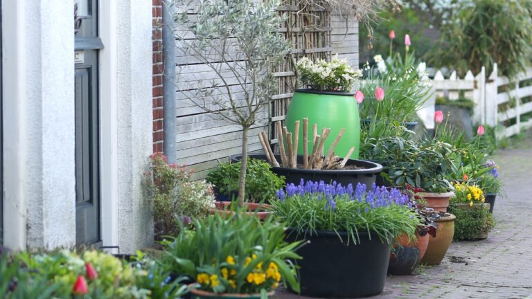 10 things you’re doing that make your yard look cluttered fast