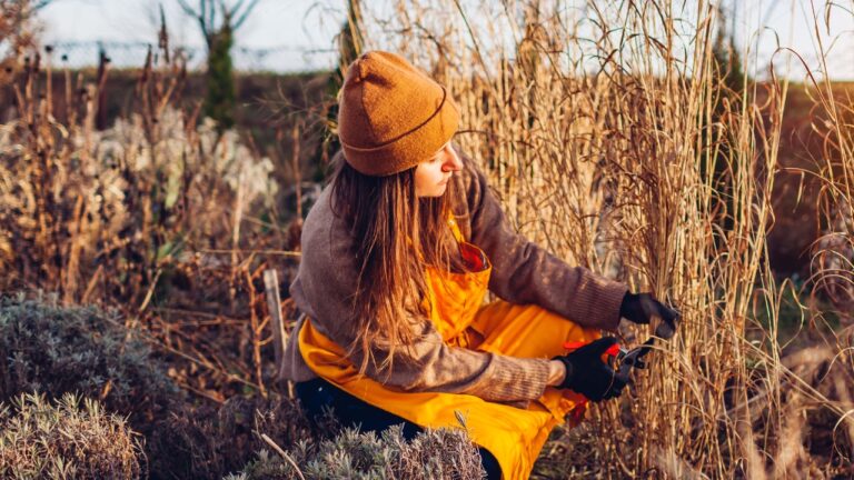 12 Things I Clear Out Every Spring Before the Yard Wakes Up