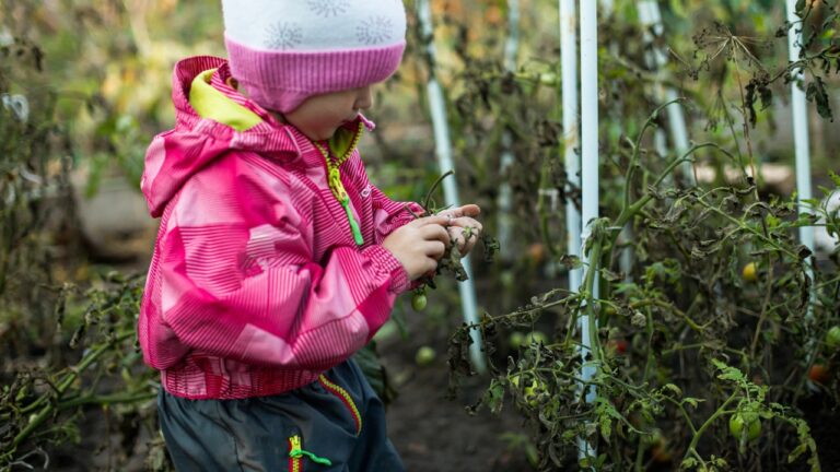 8 Things We Learned From Failing on the Homestead