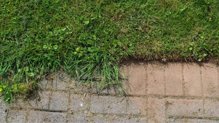 9 Landscaping Mistakes That Can Ruin Your Curb Appeal