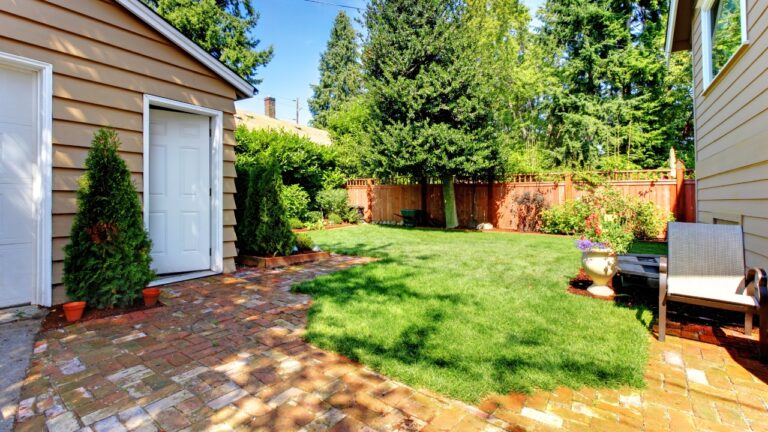 Why Your Backyard Feels Hotter Than It Should—And How to Fix It