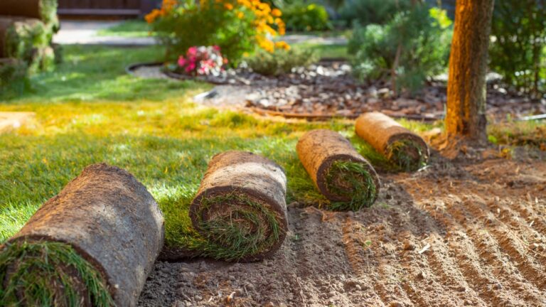 These Landscaping Upgrades Make Any House Look More Expensive