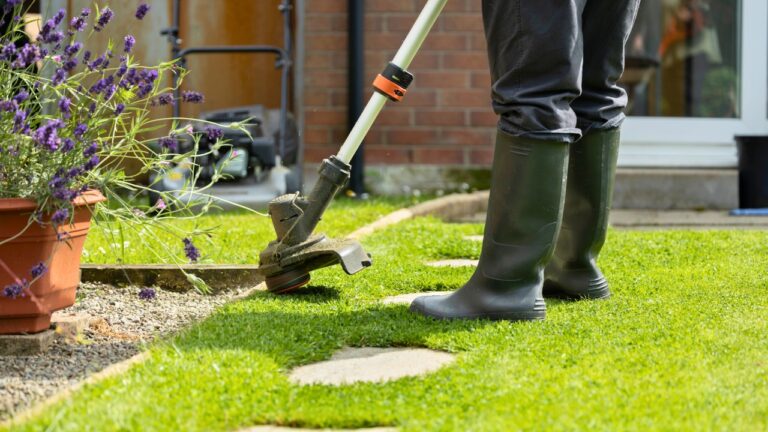 Best Weed Eaters That Don’t Fall Apart in a Season