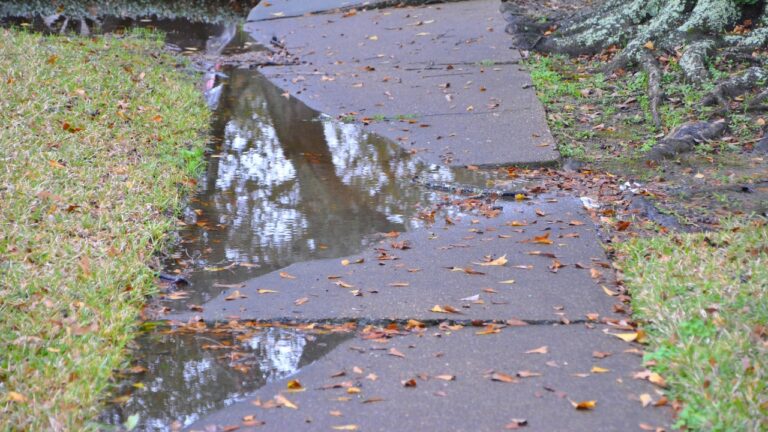 10 Things in Your Yard That Are Sending the Wrong Message