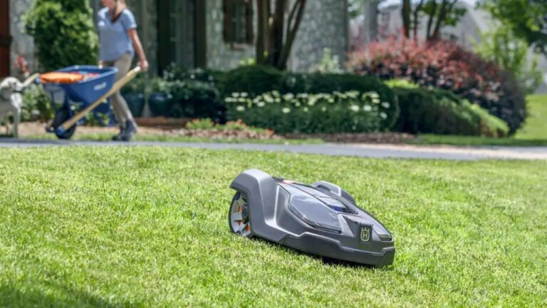 Best Mowers for People Who Hate Mowing
