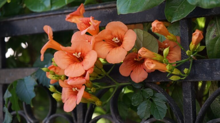 10 Plants That Will Overtake Your Yard If You Let Them