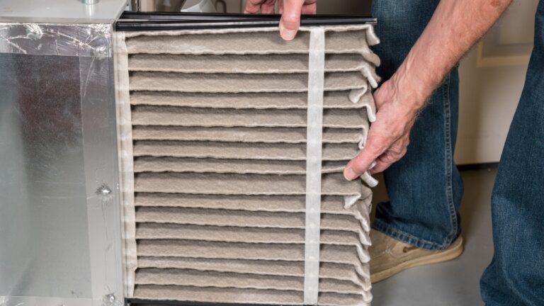 10 Reasons Your House Smells Musty