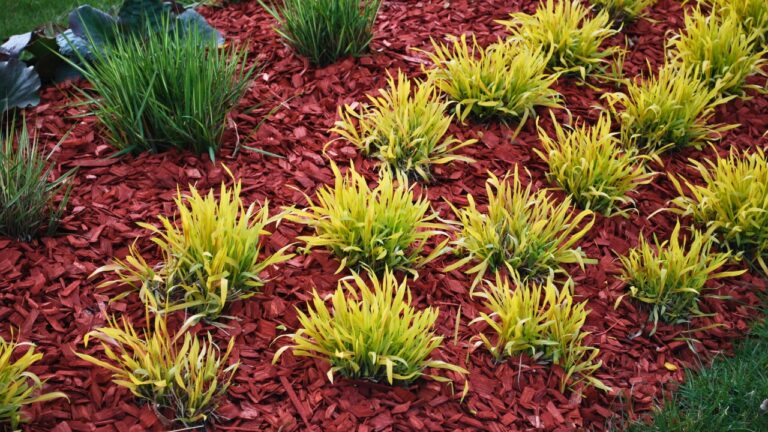 10 Landscaping Trends You’ll Be Embarrassed You Followed