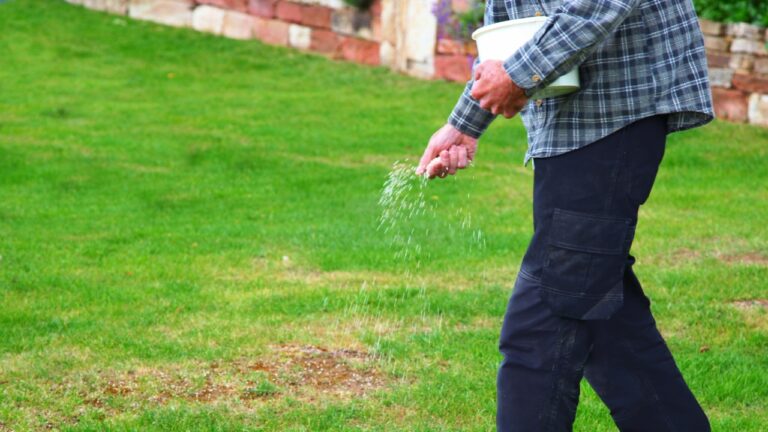 Fertilizer Mistakes That Are Burning Your Grass
