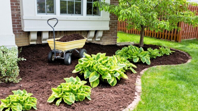 10 Things You Can Fix Today to Clean Up the Look of Your Yard