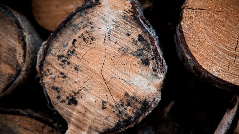 10 Woods That Will Wreck Your Fireplace (Or Your Health)