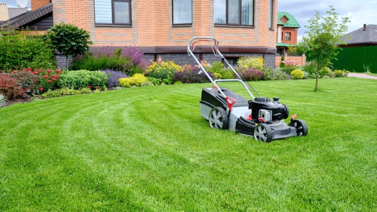 Lawn Rules That Go Out the Window in Triple-Digit Heat