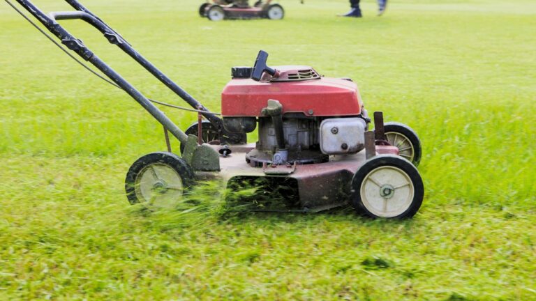 Things You’re Doing to Your Mower That Don’t Help at All