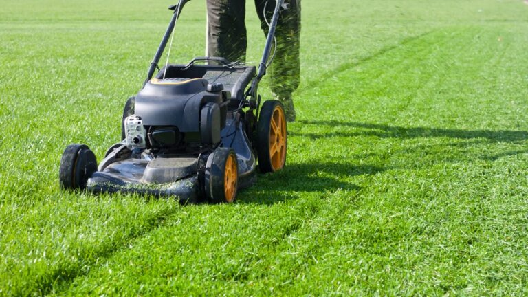 10 things that ruined our $300 mower faster than expected