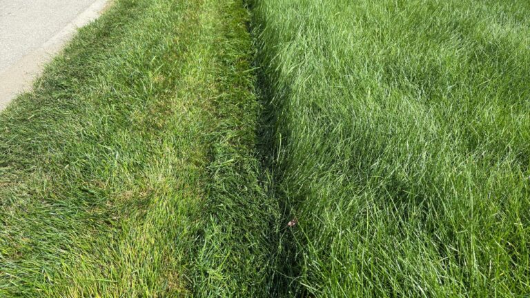10 Mowing Tips That Don’t Work in Real Life