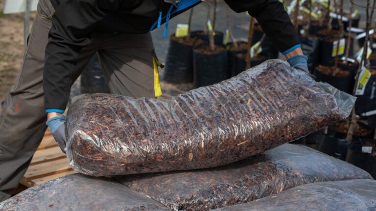 What I always check before buying mulch now