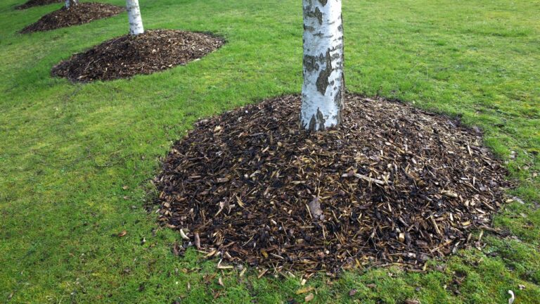 7 mulch mistakes that are wrecking your yard