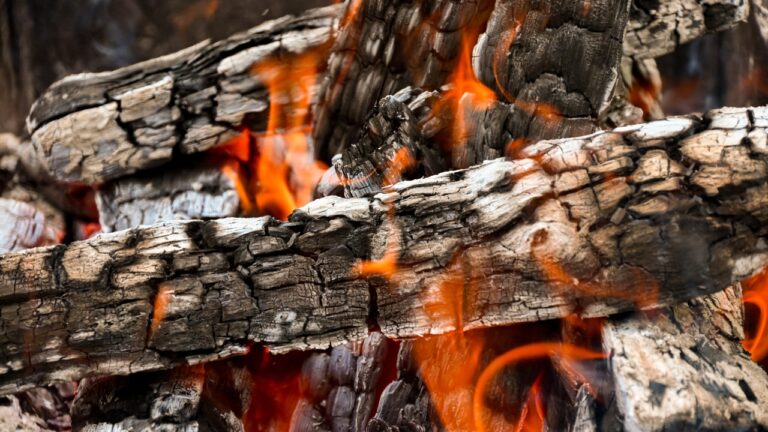 10 Woods That Burn Clean and Smell Great Indoors