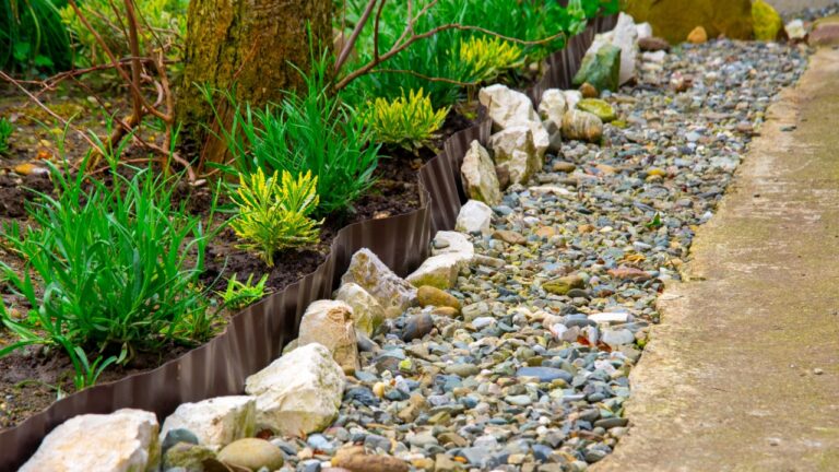 10 Backyard Choices That Make the Whole Place Look Off