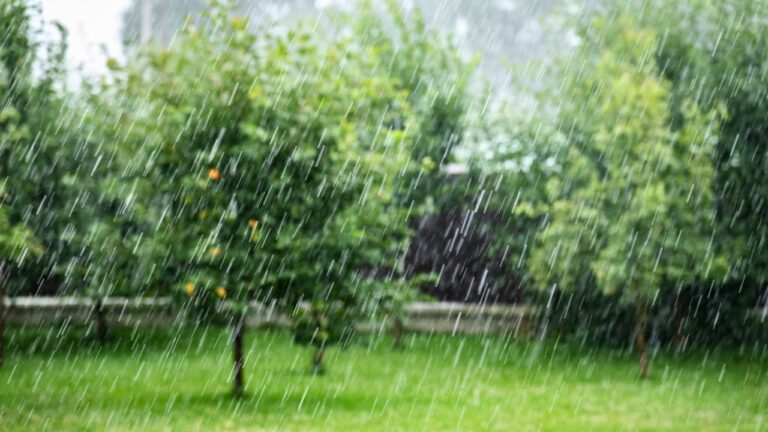 9 Things In Your Yard That’ll Get Washed Out by Heavy Rain