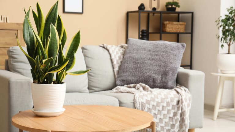 10 Small Fixes That Make a Room Feel Way More Put-Together