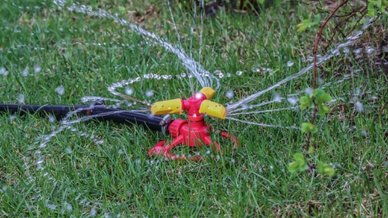 10 Watering Habits That Are Killing Your Lawn Slowly