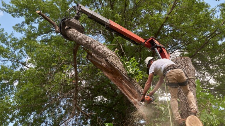 10 Home Repairs That Are Always Worth Paying For