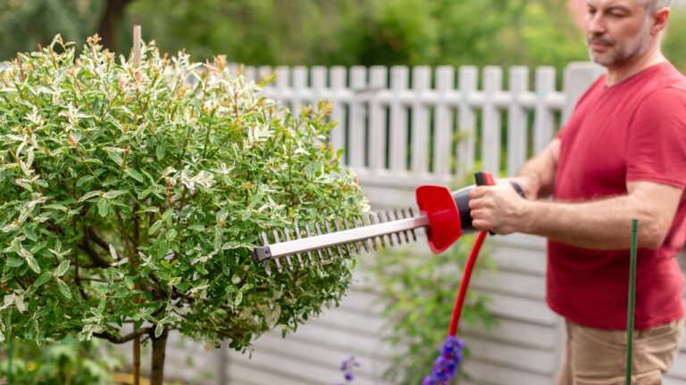 10 Easy Yard Projects That Make Buyers Think You Hired a Pro