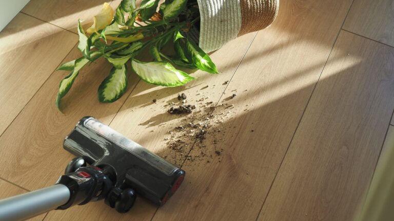 10 Things You Should Absolutely Never Vacuum