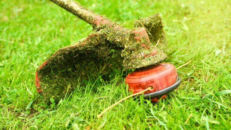 10 Things You’re Doing to Your Trimmer That Don’t Help