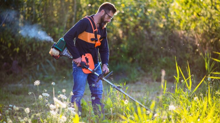 10 Weedeater Habits That Are Wearing Out Your Equipment Faster