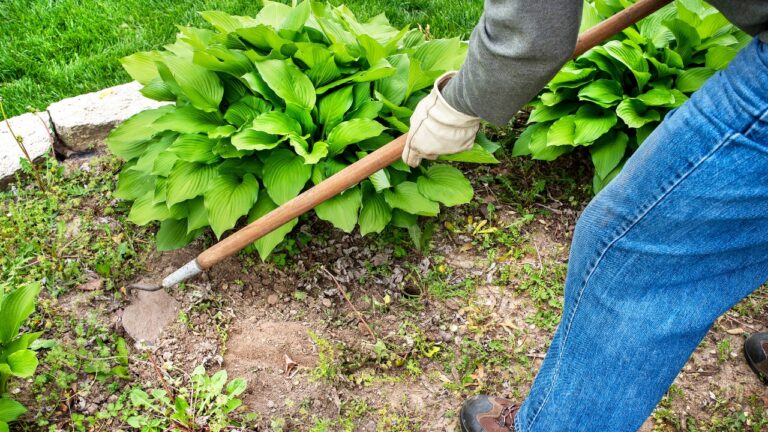 8 Landscaping Habits That Are Wasting Your Weekend