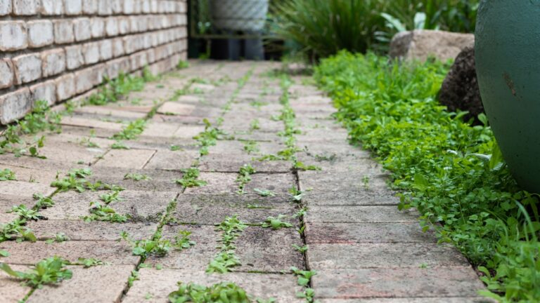 10 Things You’re Doing in the Yard That Look Worse Than You Think