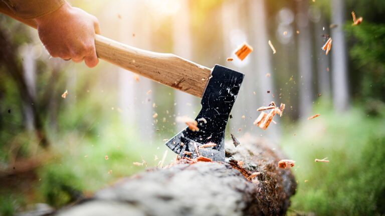 10 Tools You’ll Use Daily Once You Live on Land