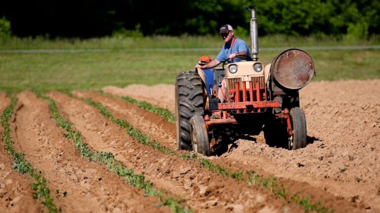 9 Things You’ll Regret Not Learning Before Going Rural