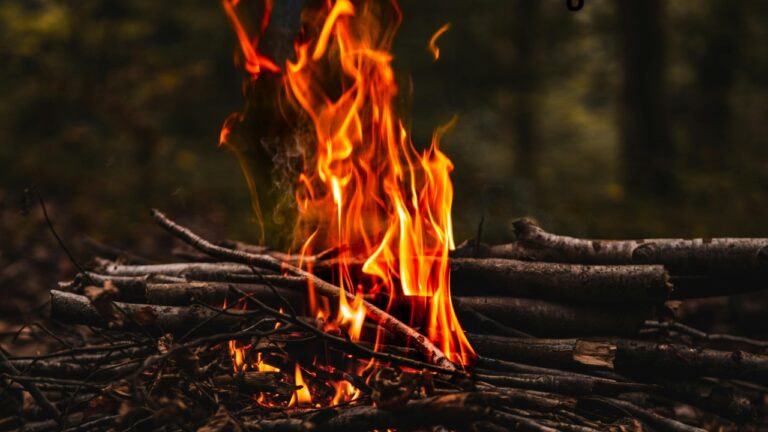 9 Kinds of Wood That Smell Awful When Burned