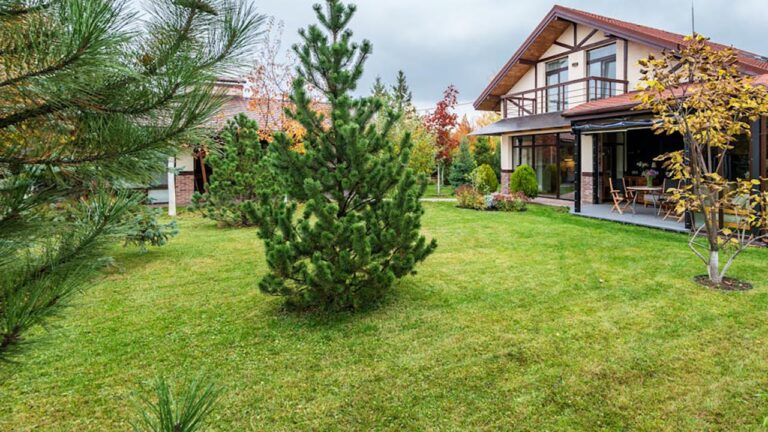 How You Can Fix a Yard That Feels All Over the Place